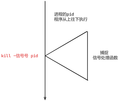 202410251336465.png