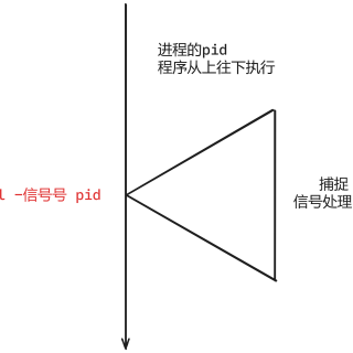 202410251336465